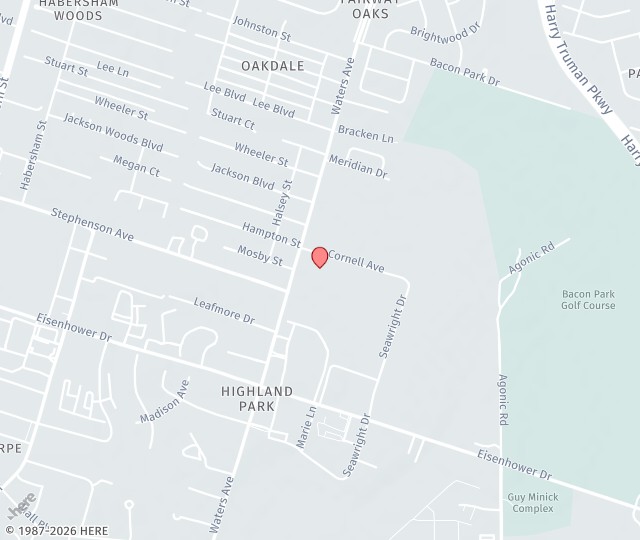 Location Map: 1121 Cornell Avenue Savannah, Georgia 31406